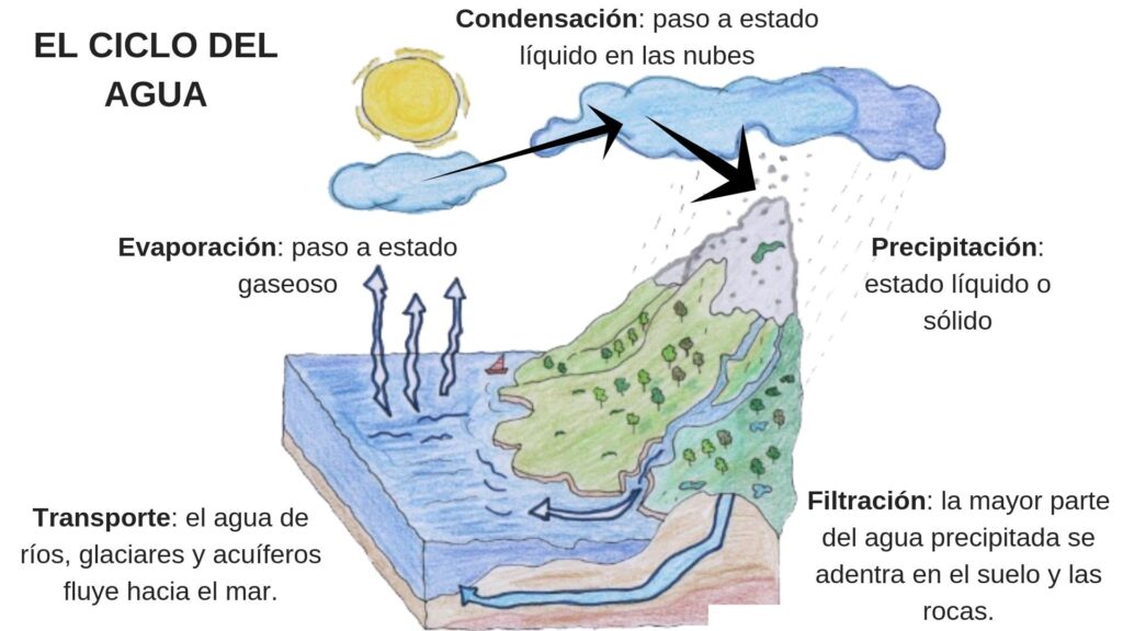 esquema del ciclo del agua en la naturaleza
