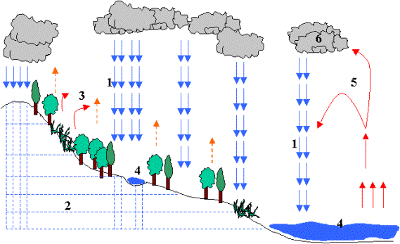 esquema del ciclo del agua para completar