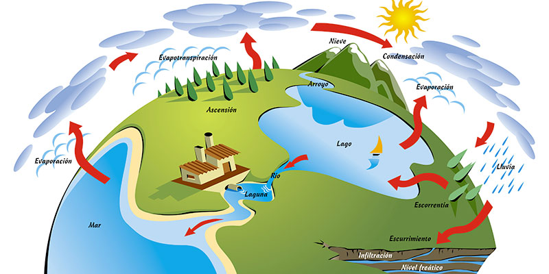 esquema del ciclo del agua y sus fases
