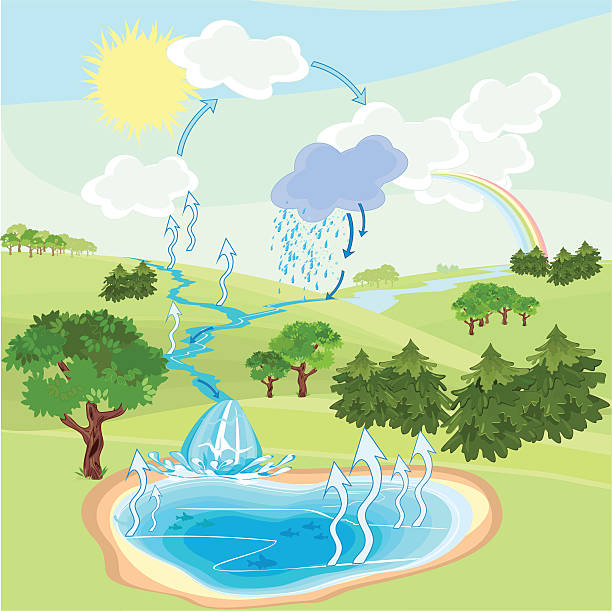 esquema del ciclo del agua para niños