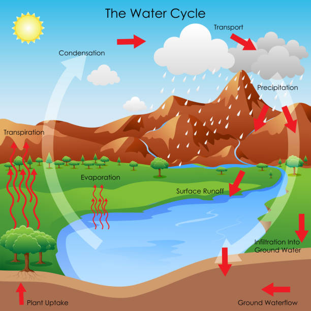 ▷ Esquema del ciclo del agua ¡Fotos & Guía 2021!