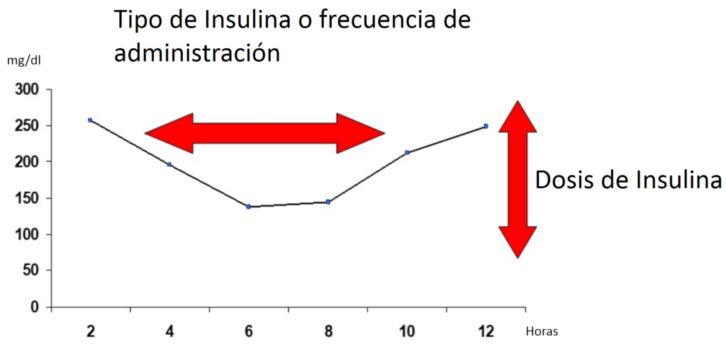 esquema de insulina rapida subcutanea