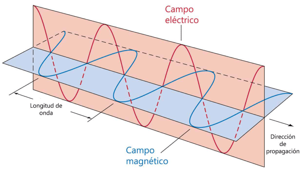 esquema de una onda transversal y sus partes