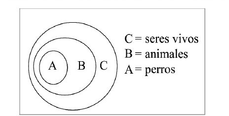 esquema de circulos concentricos