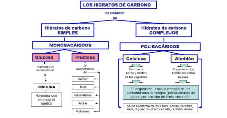 esquema de carbohidratos lipidos y proteinas