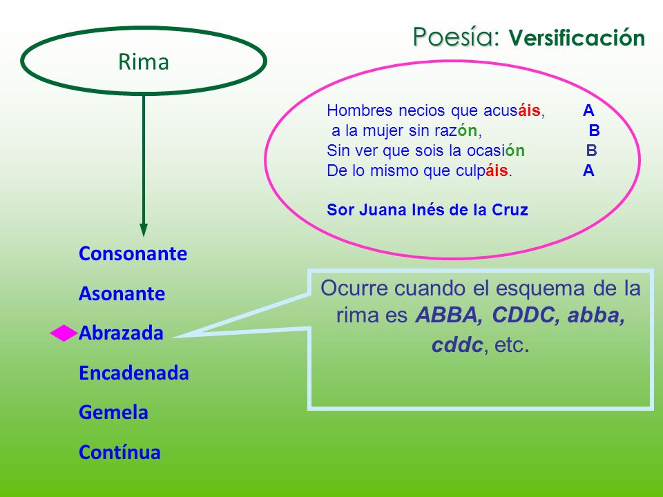 Esquema De La Rima ¡fotos And Guía 2021