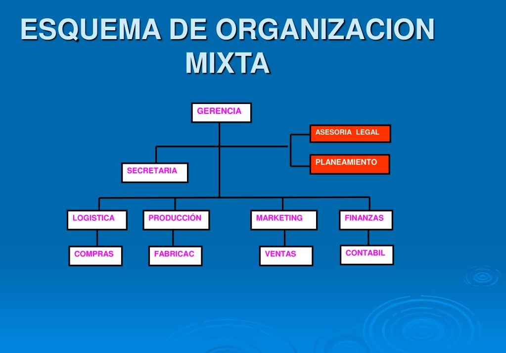 esquema de organizacion concepto
