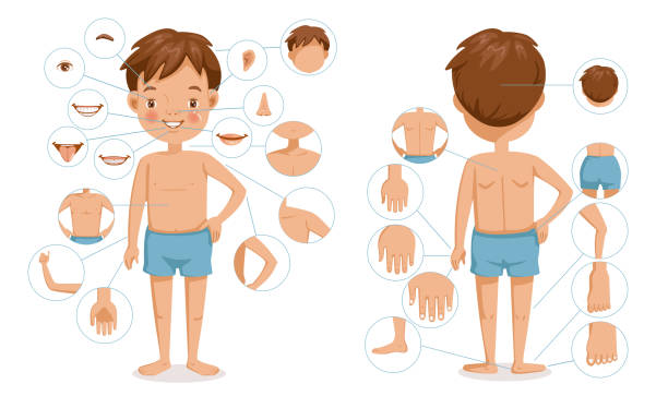 a importancia do esquema corporal na educação infantil