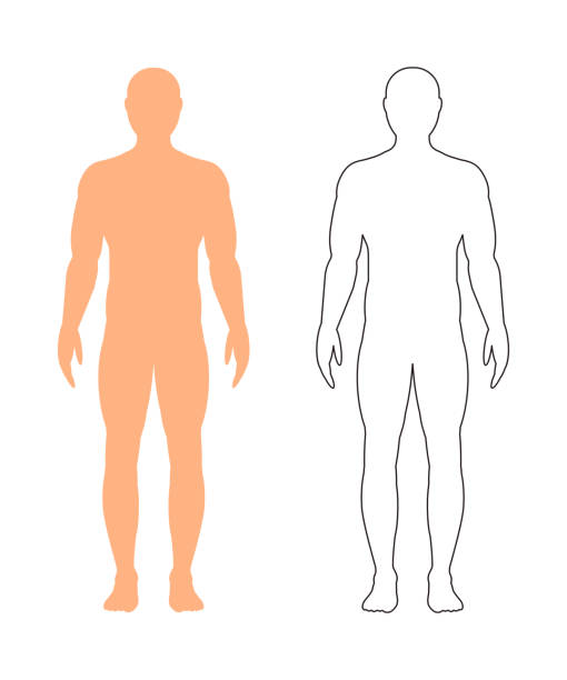 esquema corporal y lateralidad