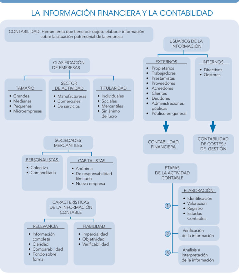 Esquema Básico De La Contabilidad ¡fotos And Guía 2024