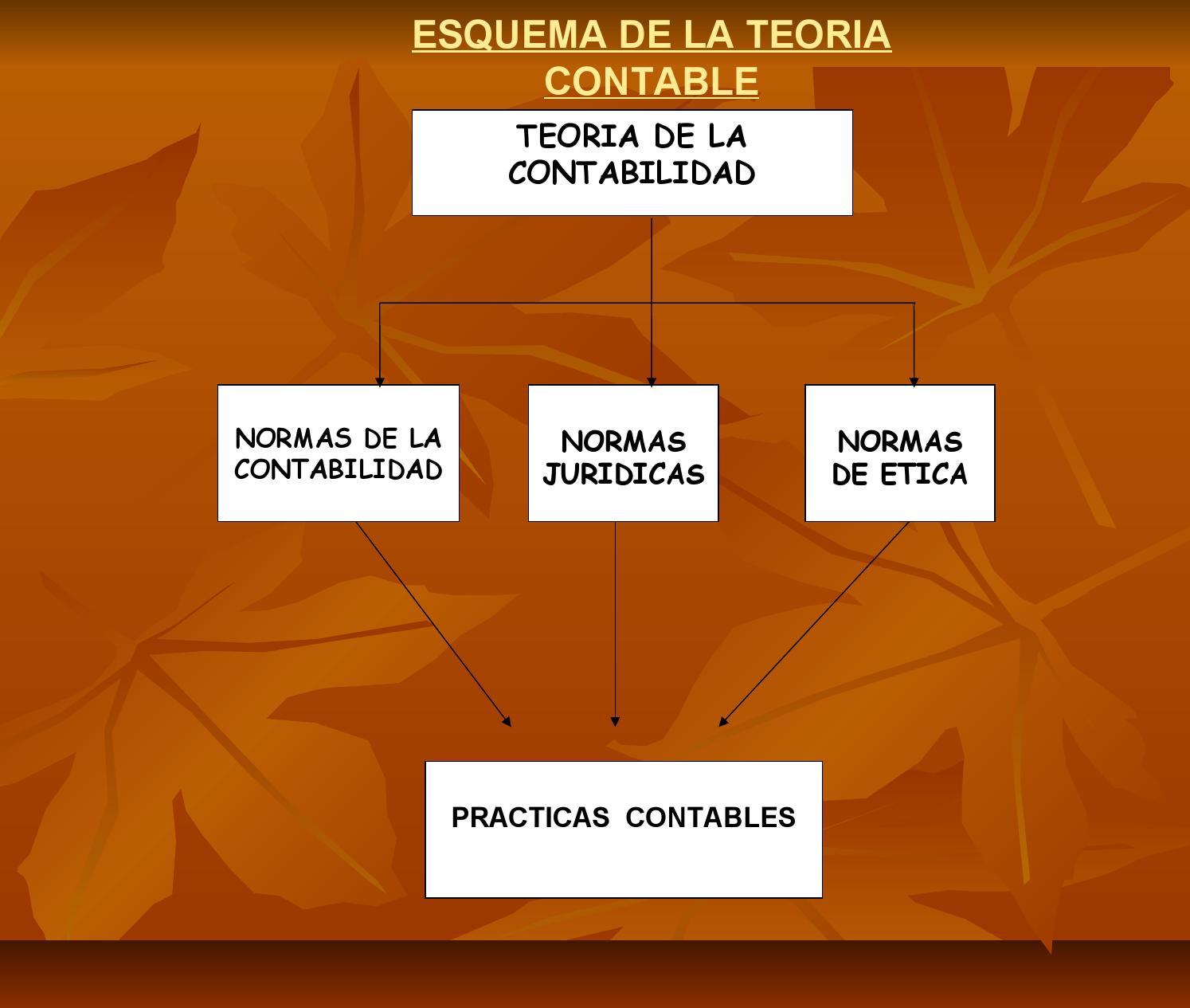 Esquema Básico De La Contabilidad ¡fotos And Guía 2024 7796