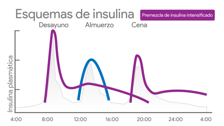 Esquema De Insulina Fotos Gu A