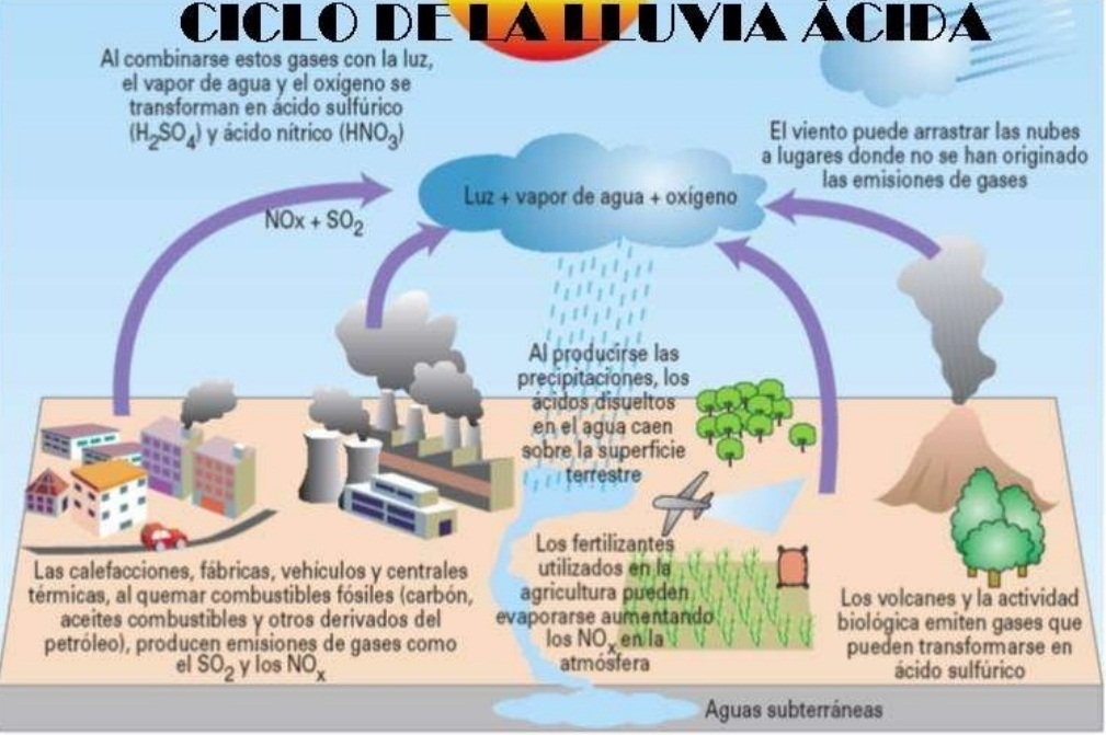 esquema con las causas y efectos de la lluvia ácida
