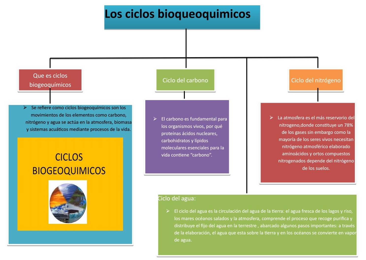 esquema del ciclo del carbono