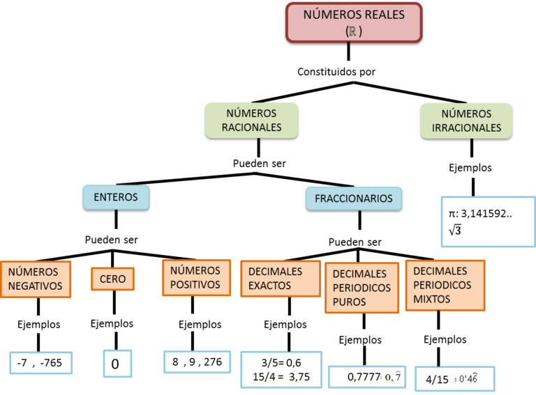 Esquema De Los Números Reales ¡fotos And Guía 2024