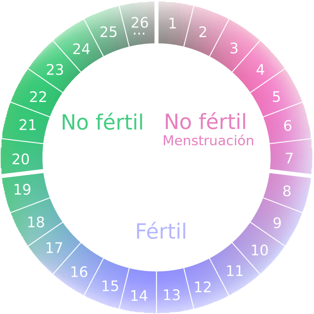 esquema del ciclo menstrual para niños