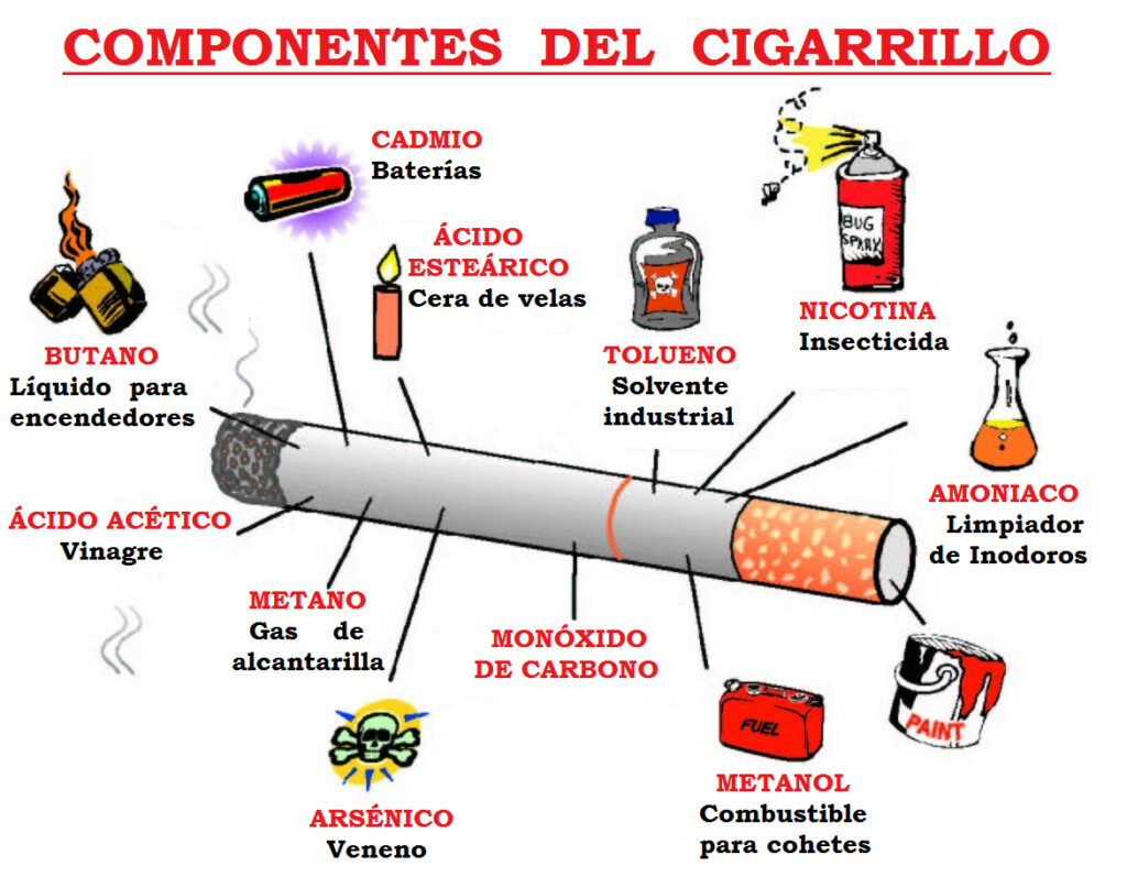 esquema del cigarro y sus componentes