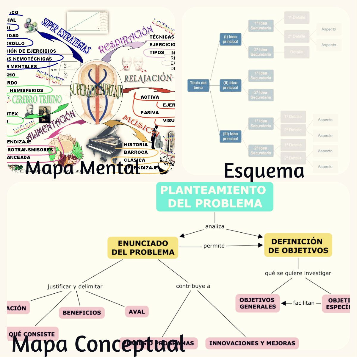 Diferencias Entre Esquema Mapa Conceptual Y Mapa Mental Porn Sex Picture