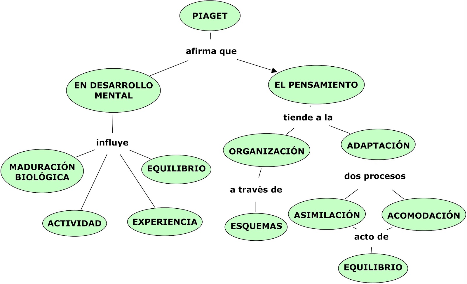 Esquema De Piaget ¡fotos And Guía 2024 6072