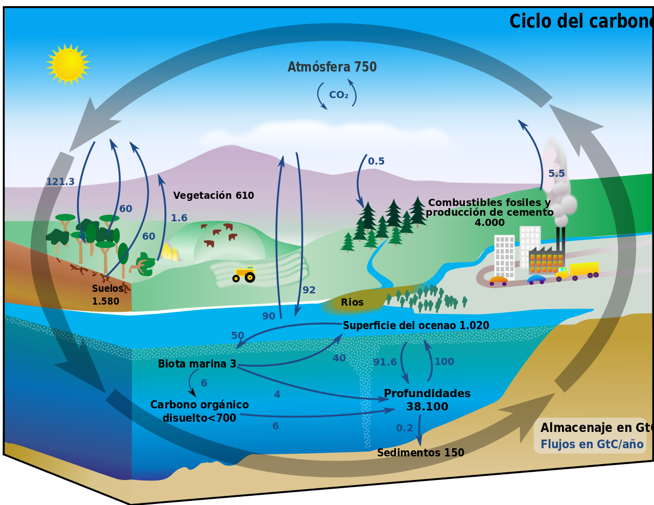 Ciclo Del Carbono Que Es Caracteristicas Fases Importancia Y Mas Images Images And Photos Finder 6760