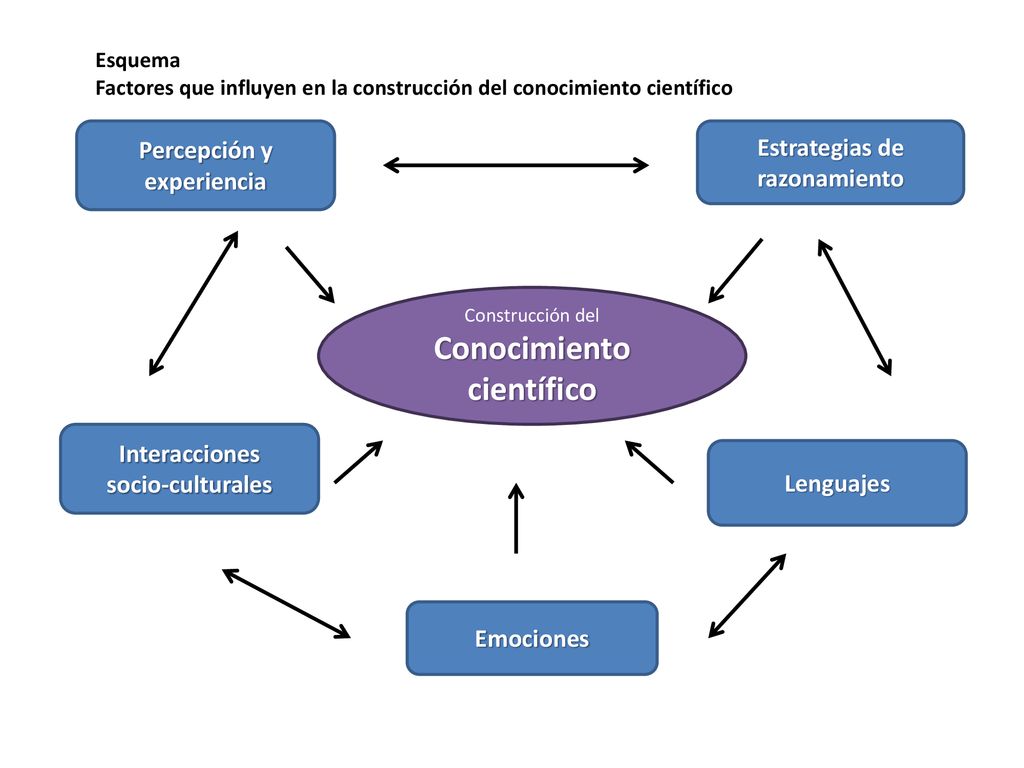 Esquema Del M Todo Cient Fico Fotos Gu A