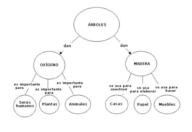 ▷ Diferencia entre esquema y mapa conceptual ¡Fotos & Guía 2021!